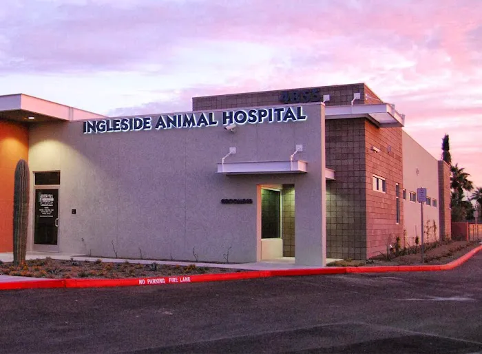 Ingleside Animal Hospital 5