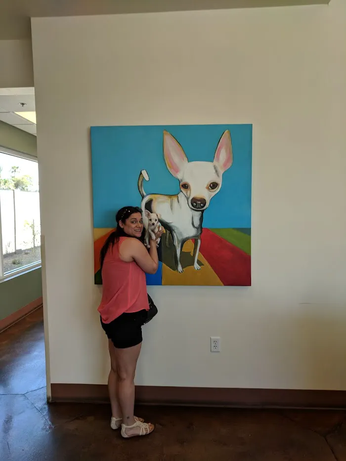 Ingleside Animal Hospital 4