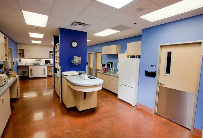 Ingleside Animal Hospital 2
