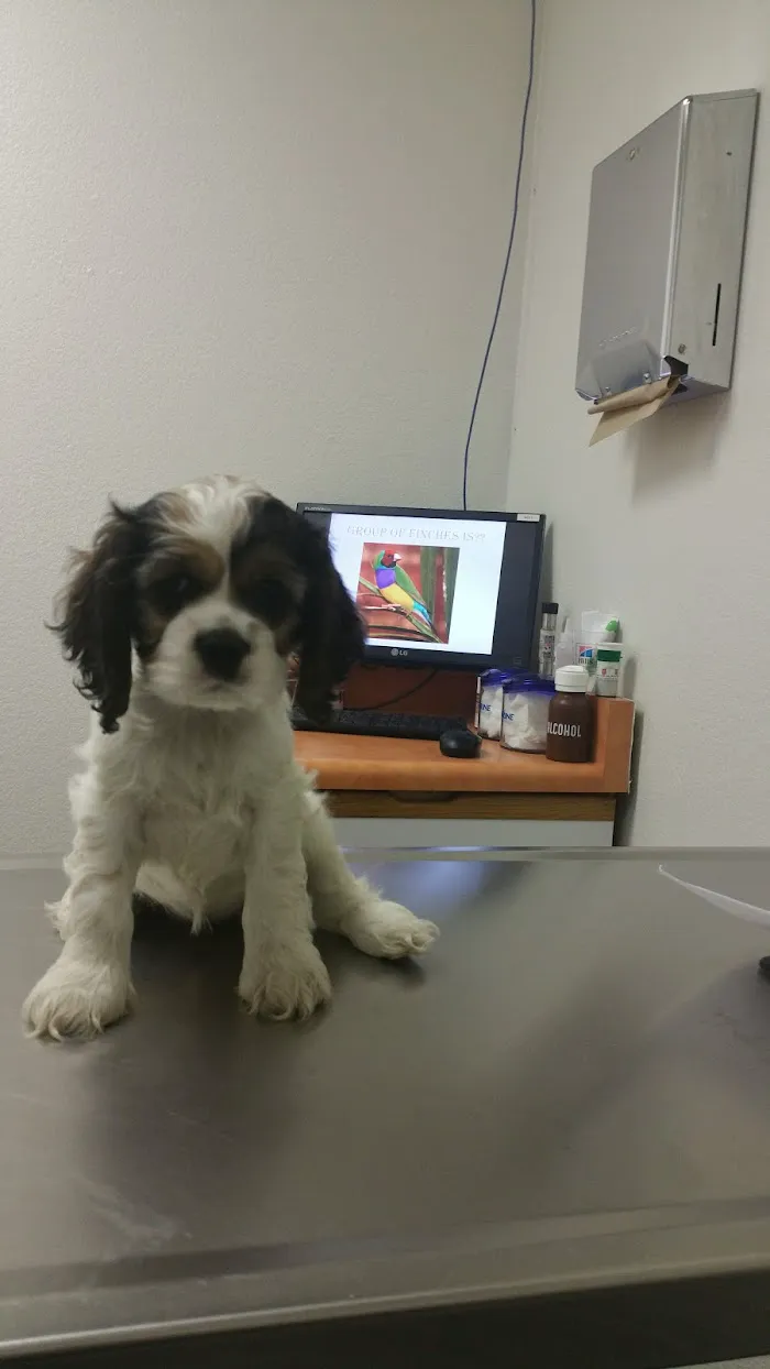 Hayden Road Animal Hospital 12