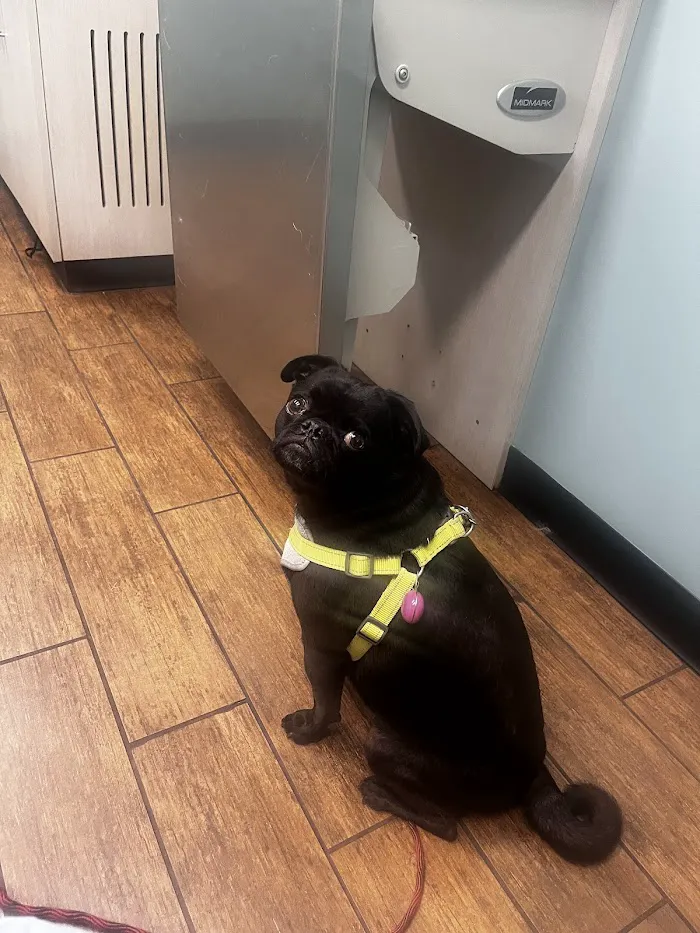 Hayden Road Animal Hospital 12