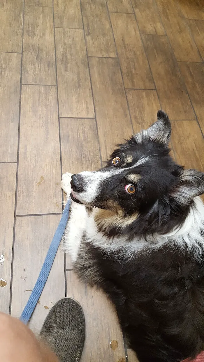 Hayden Road Animal Hospital 12