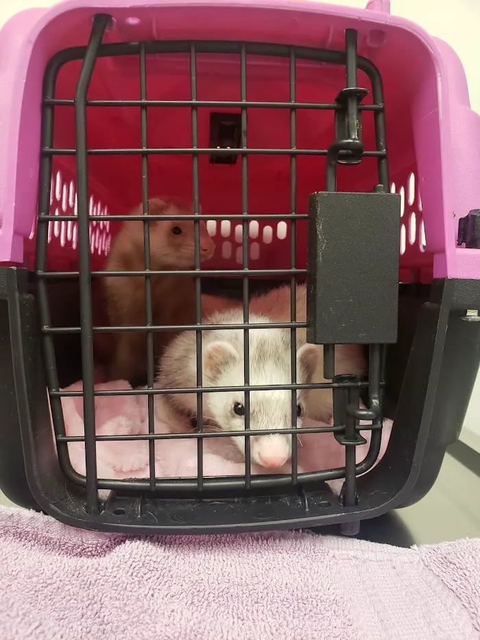Hayden Road Animal Hospital 12