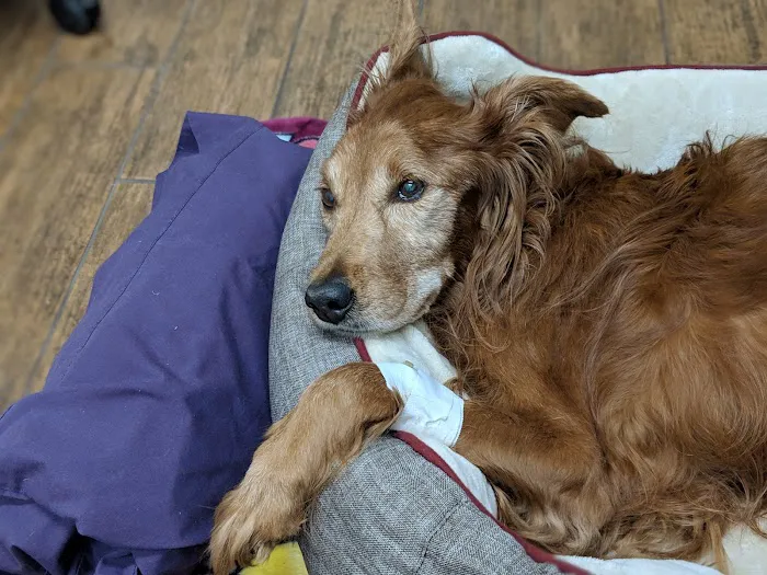 Hayden Road Animal Hospital 12