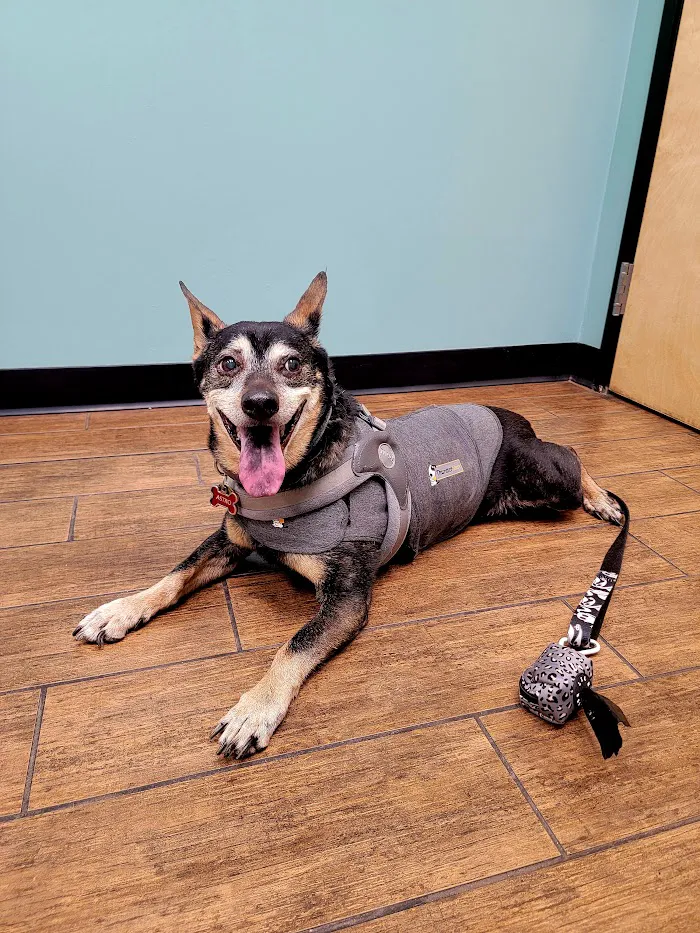 Hayden Road Animal Hospital 12