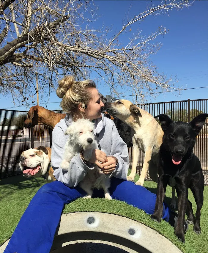 Tempe Lake Veterinary Clinic & Pet Resort 12