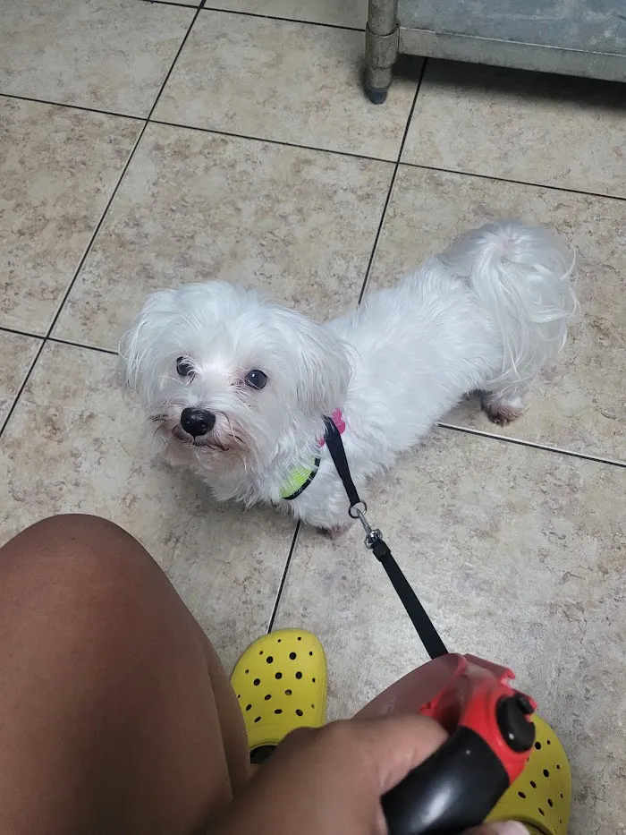 Harmony Vet Care of Oldsmar 12