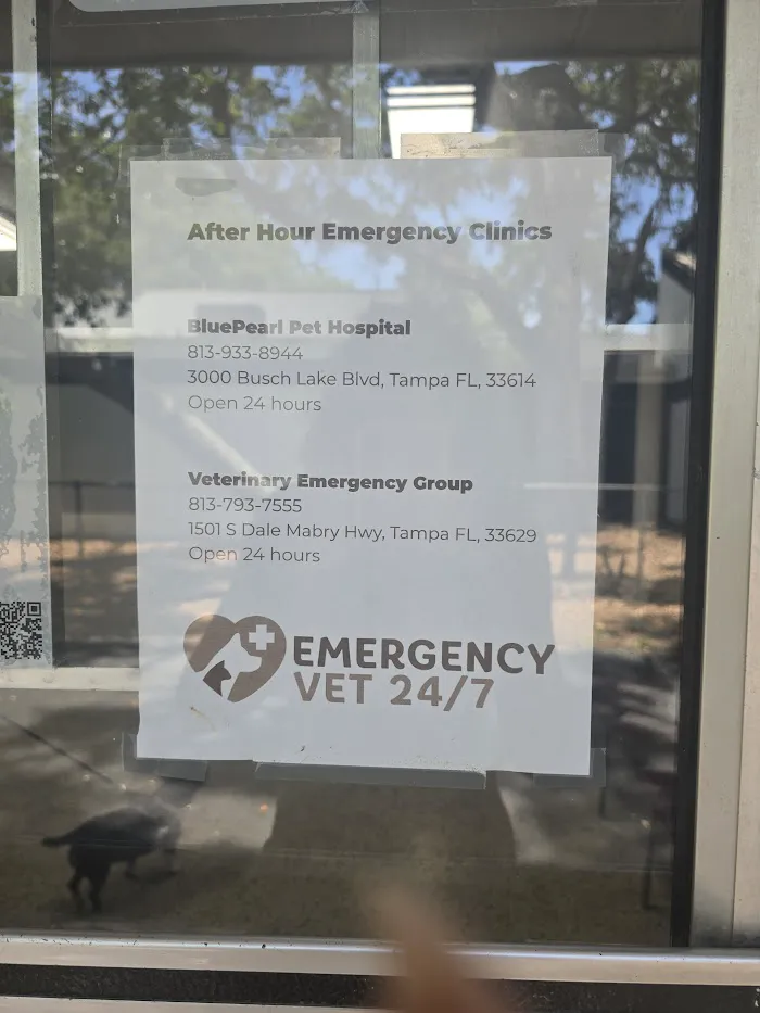 Town N Country Animal Hospital 8