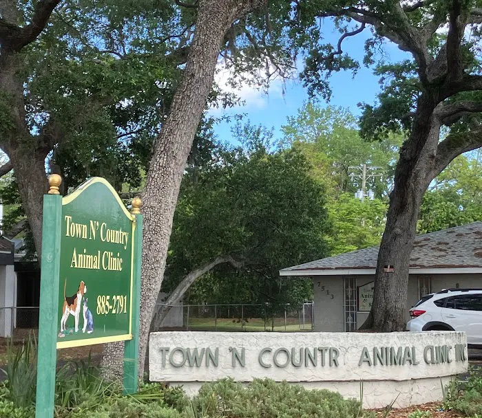 Town N Country Animal Hospital 7