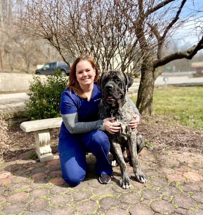 Town N Country Animal Hospital 9