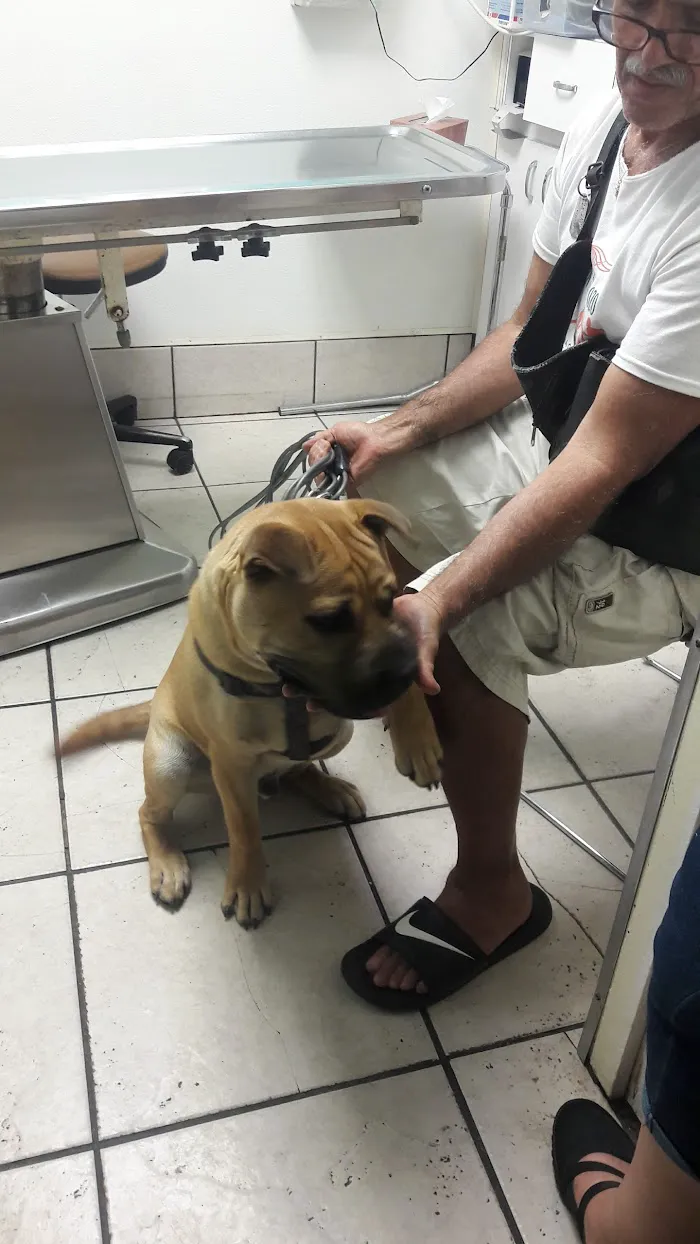 Avalon Animal Hospital 12