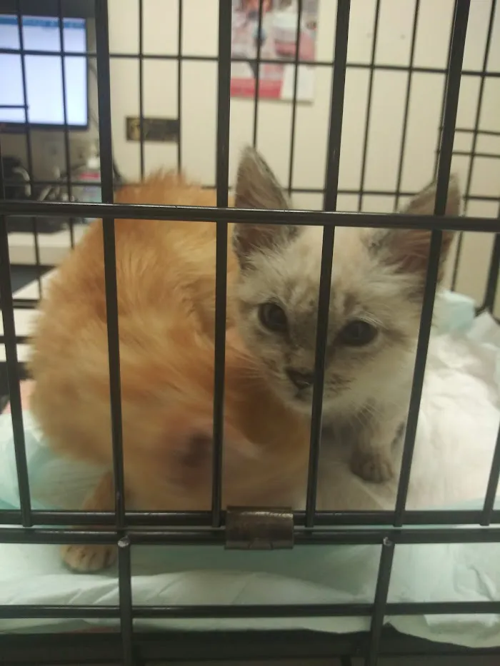 Banfield Pet Hospital 12