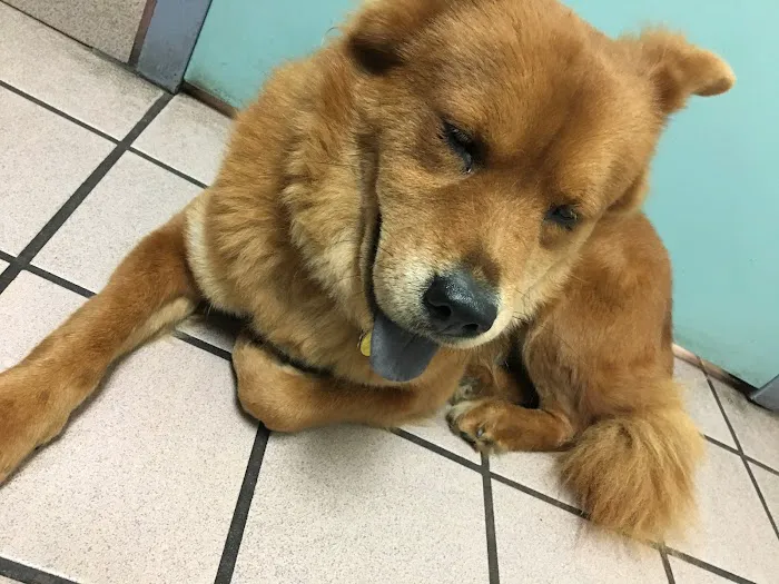 Banfield Pet Hospital 12