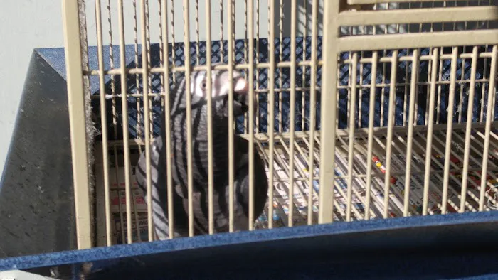 Banfield Pet Hospital 12