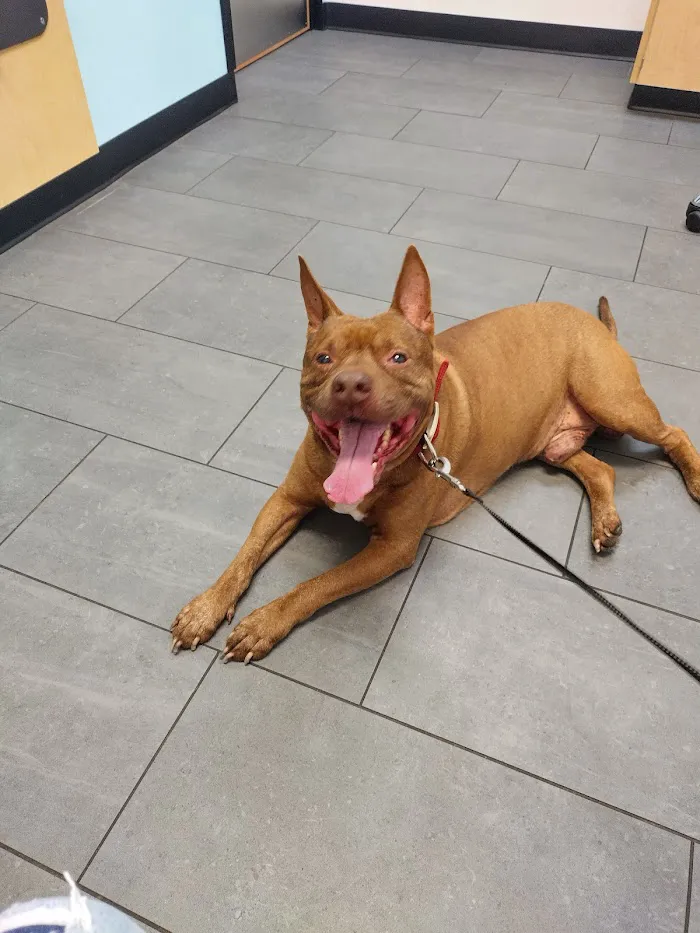 Banfield Pet Hospital 12