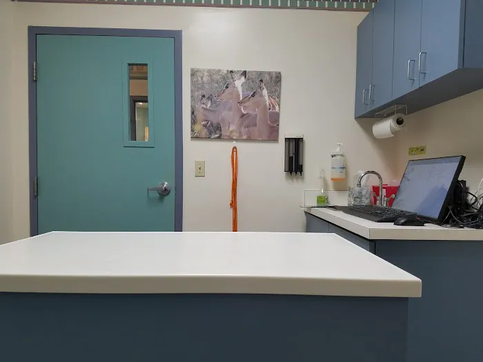 Banfield Pet Hospital 12