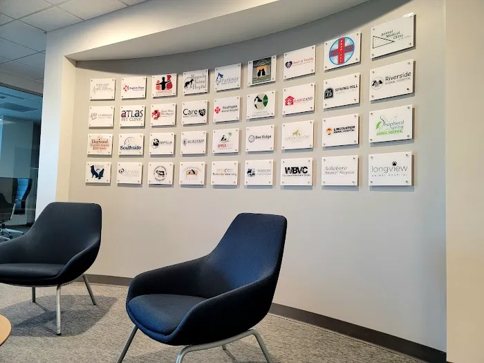 American Veterinary Group, LLC 12