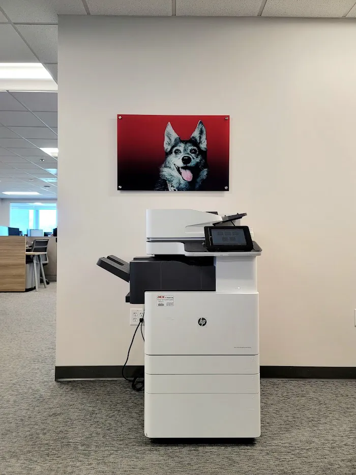 American Veterinary Group, LLC 12
