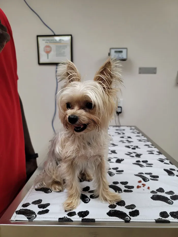 MacDill Veterinarian Treatment Facility 12