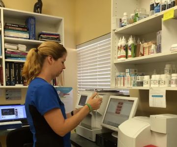 Harbourside Animal Hospital