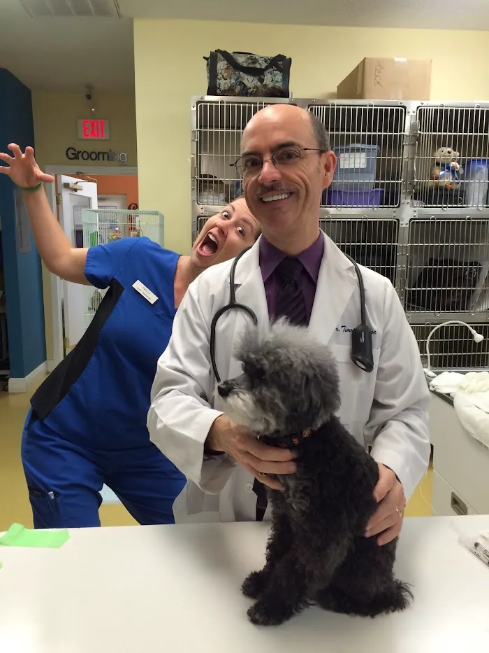 Harbourside Animal Hospital 12