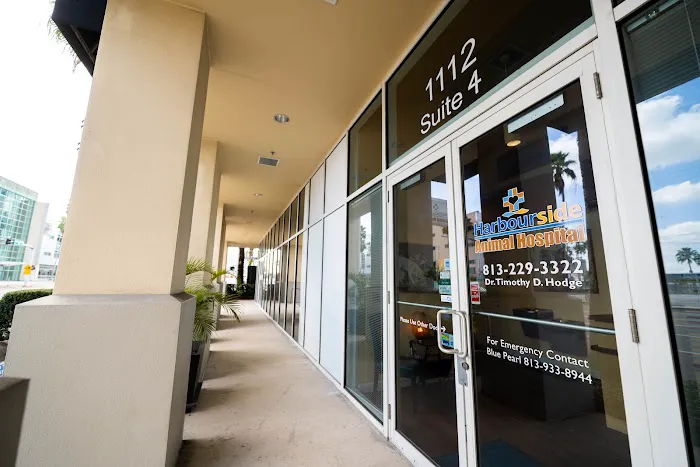 Harbourside Animal Hospital 12