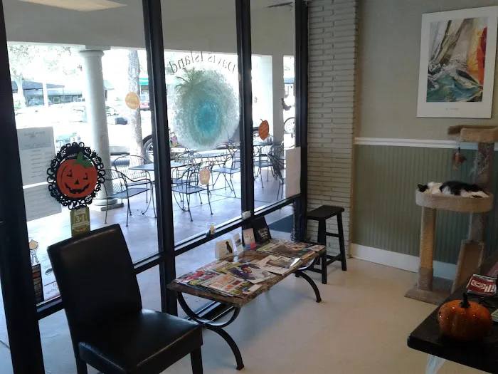 Davis Island Animal Clinic 7
