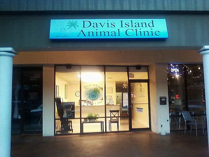 Davis Island Animal Clinic 1