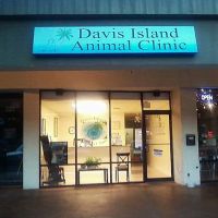 Davis Island Animal Clinic ico