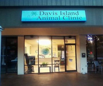 Davis Island Animal Clinic