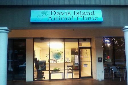 Davis Island Animal Clinic