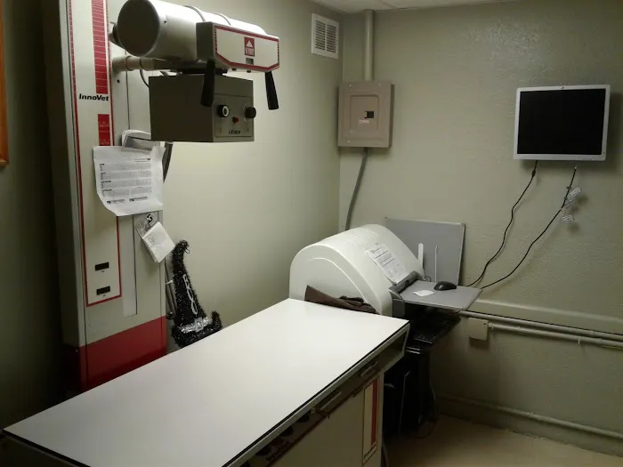 Davis Island Animal Clinic 2