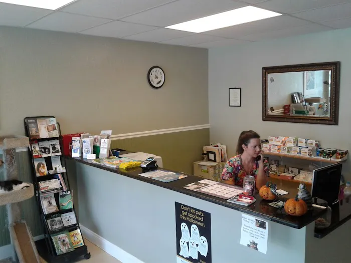 Davis Island Animal Clinic 3