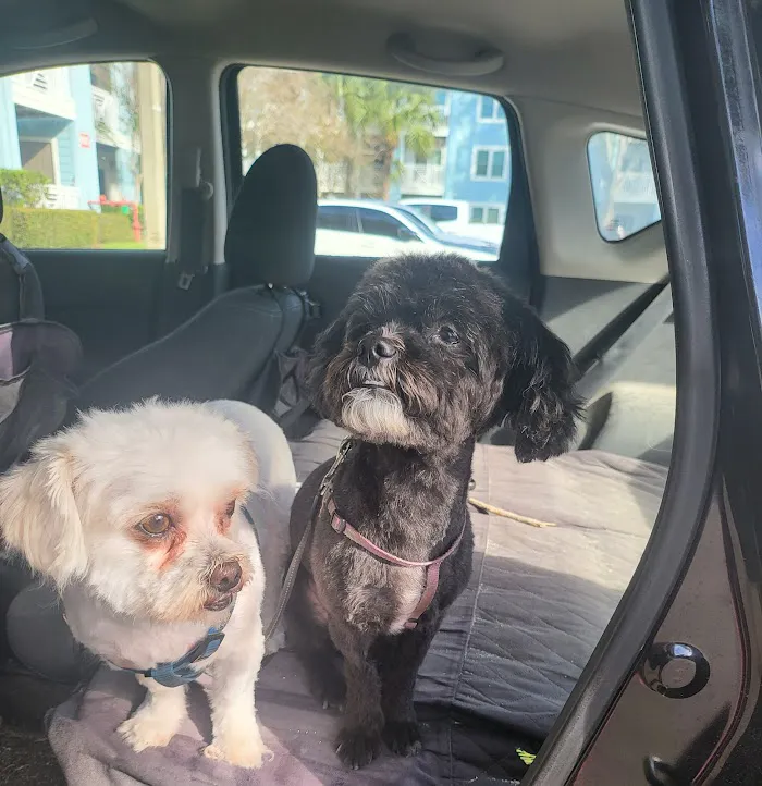 Banfield Pet Hospital 12