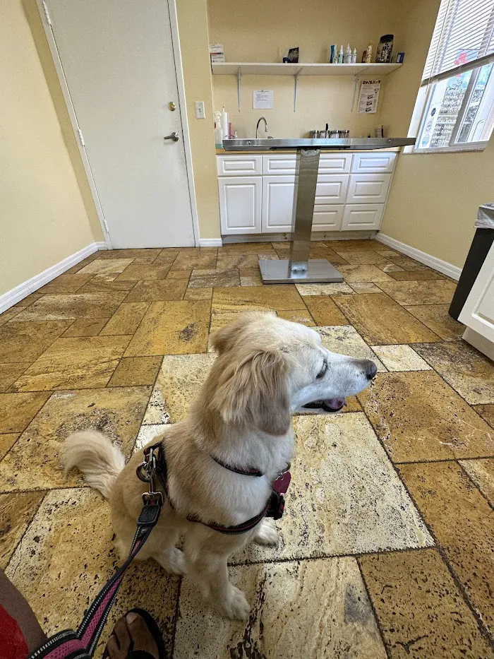 Animal Doctors of South Tampa 12