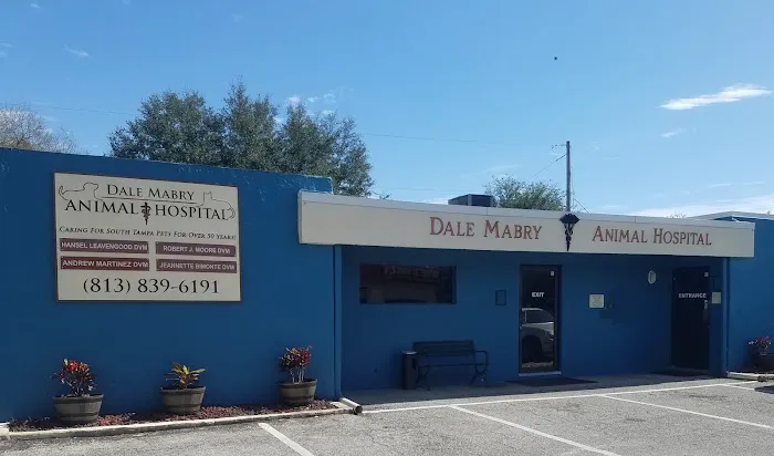Dale Mabry Animal Hospital 12
