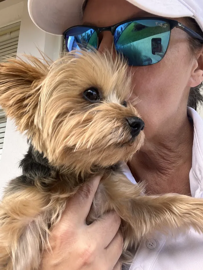 Dale Mabry Animal Hospital 12