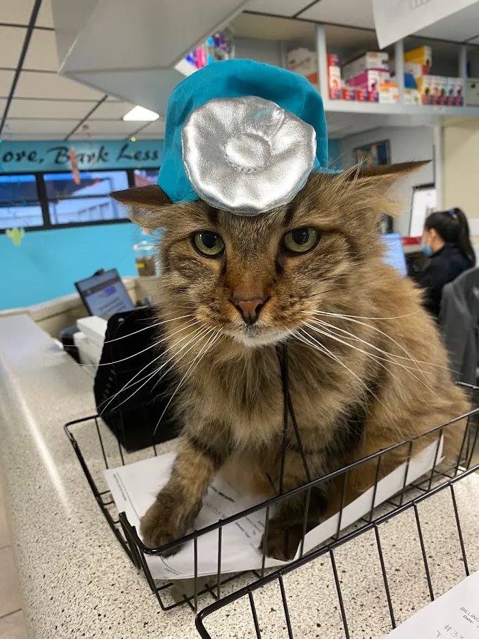 Dale Mabry Animal Hospital 12