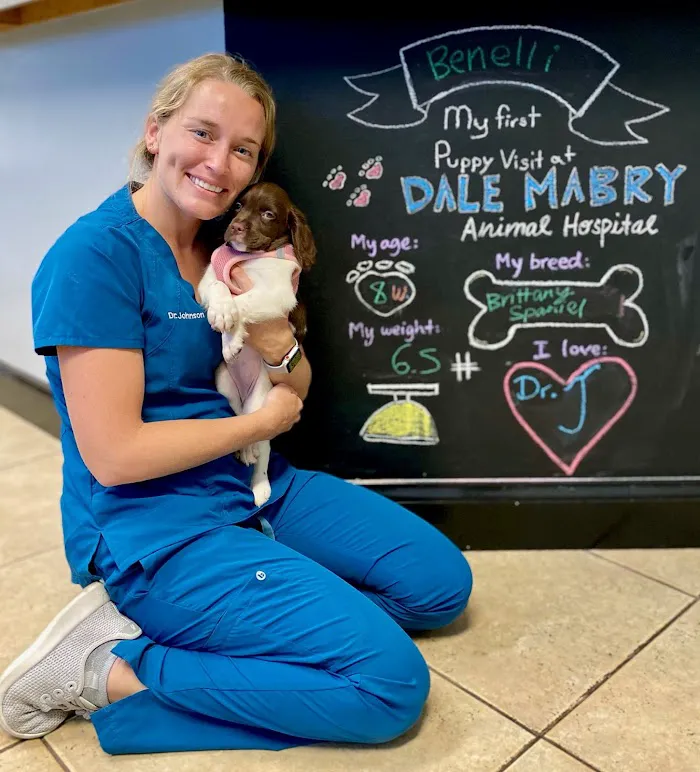 Dale Mabry Animal Hospital 12