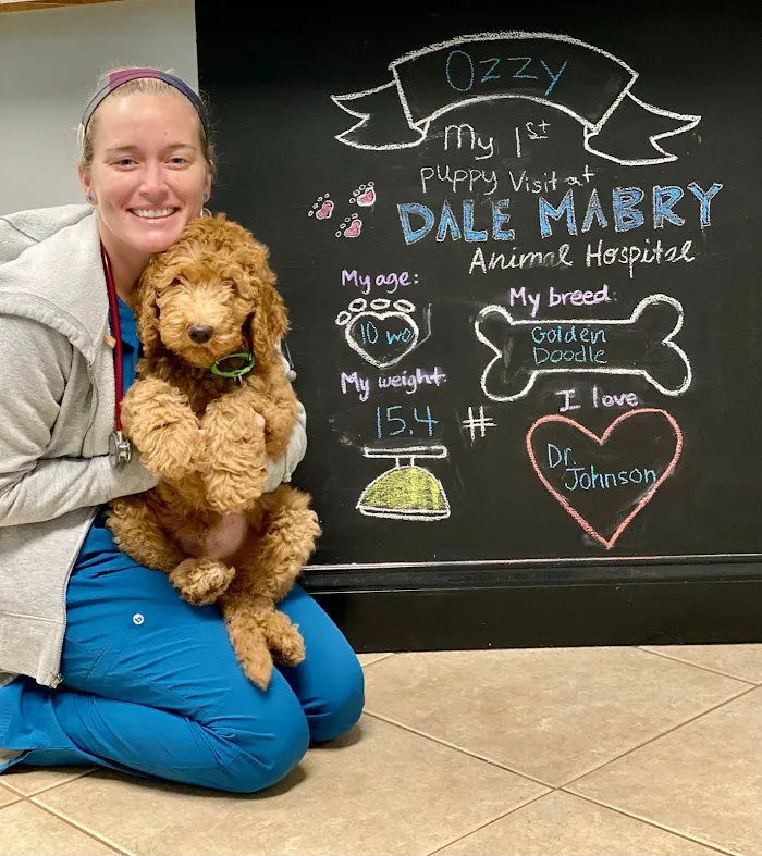 Dale Mabry Animal Hospital 12