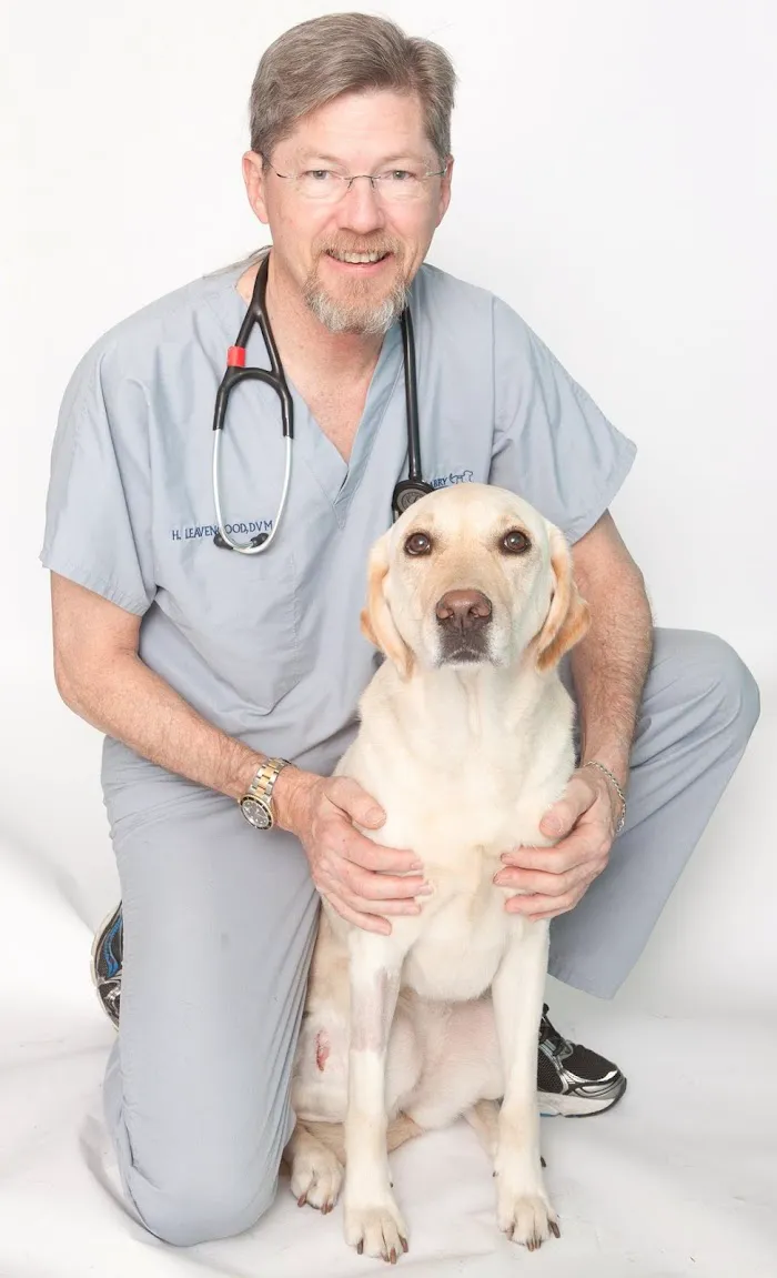 Dale Mabry Animal Hospital 12