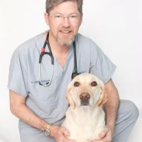 Dale Mabry Animal Hospital ico