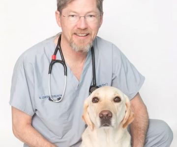 Dale Mabry Animal Hospital
