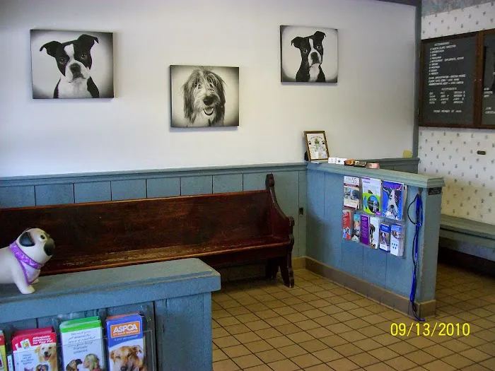 Urgent Pet Care of South Tampa 12