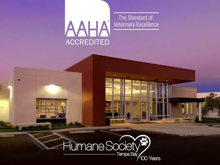 Animal Health Center at the Humane Society of Tampa Bay 7