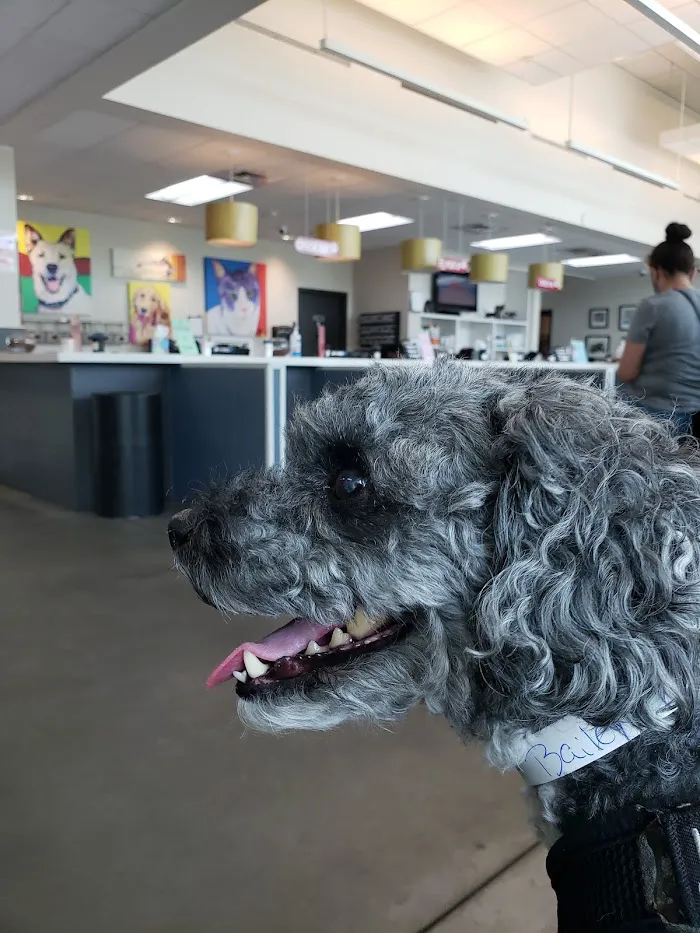Animal Health Center at the Humane Society of Tampa Bay 9