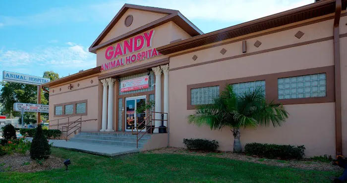 Gandy Animal Hospital 12