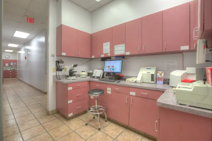 Gandy Animal Hospital 12