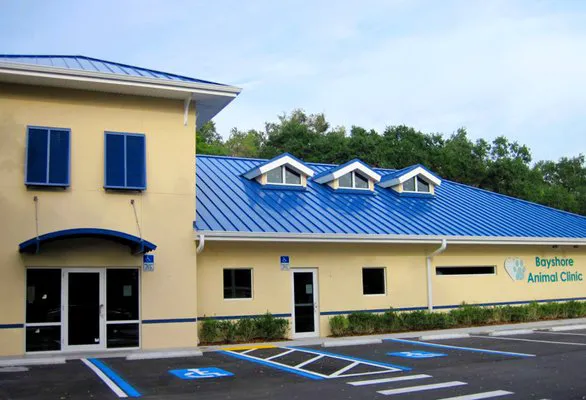 Bayshore Animal Clinic 12