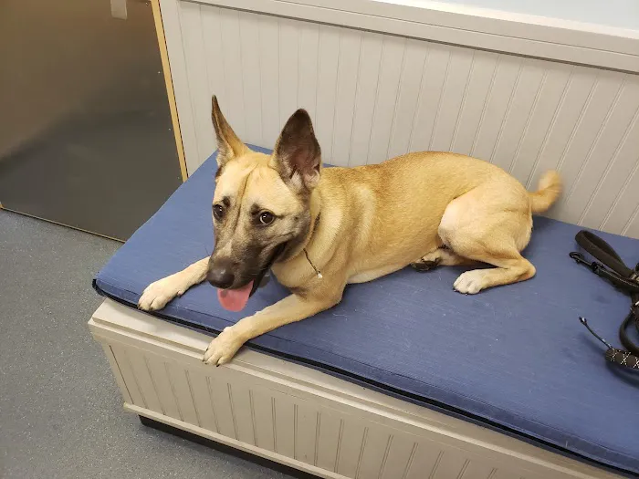 Bayshore Animal Clinic 12